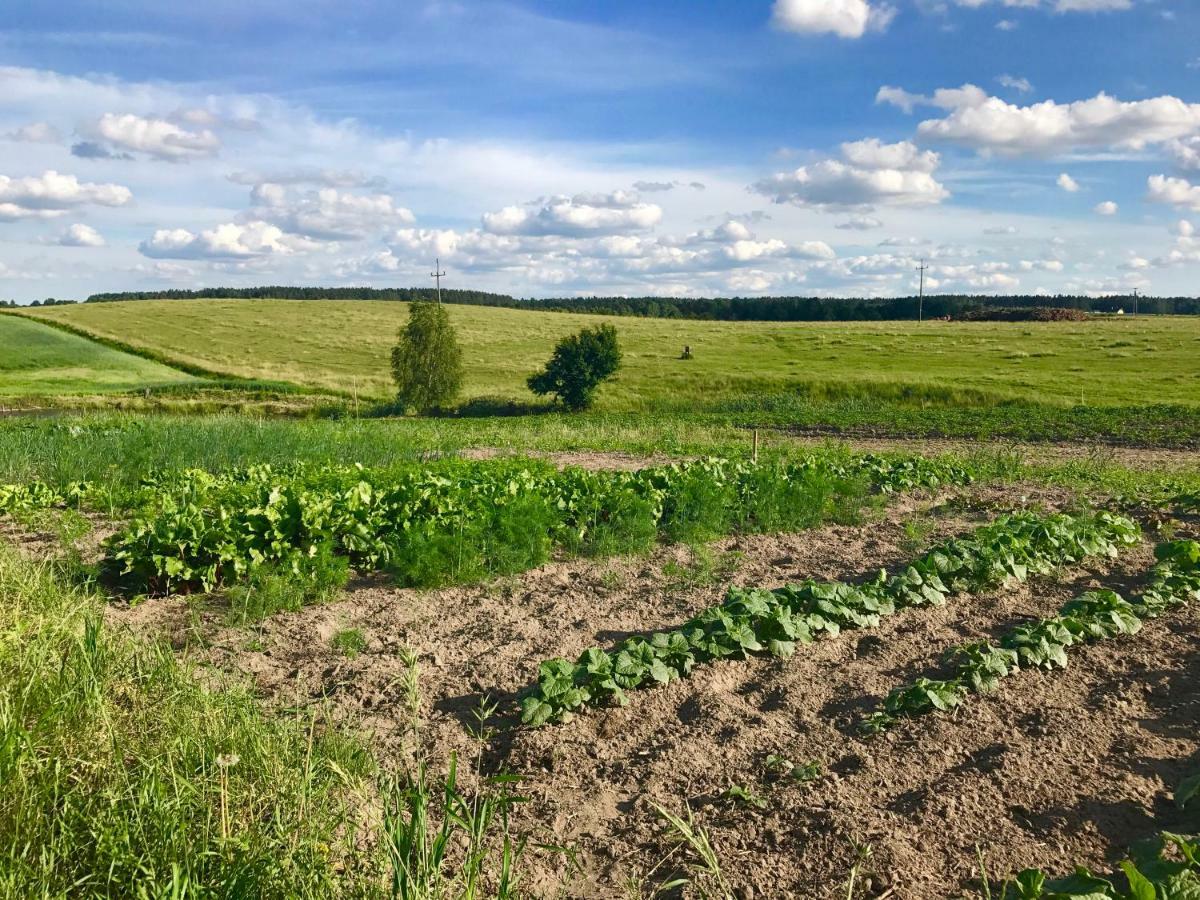 Agroturystyka Nad Jeziorem Silickim Ilinscy Silice Εξωτερικό φωτογραφία